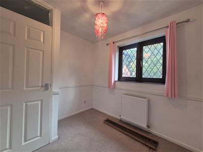 Picture 13